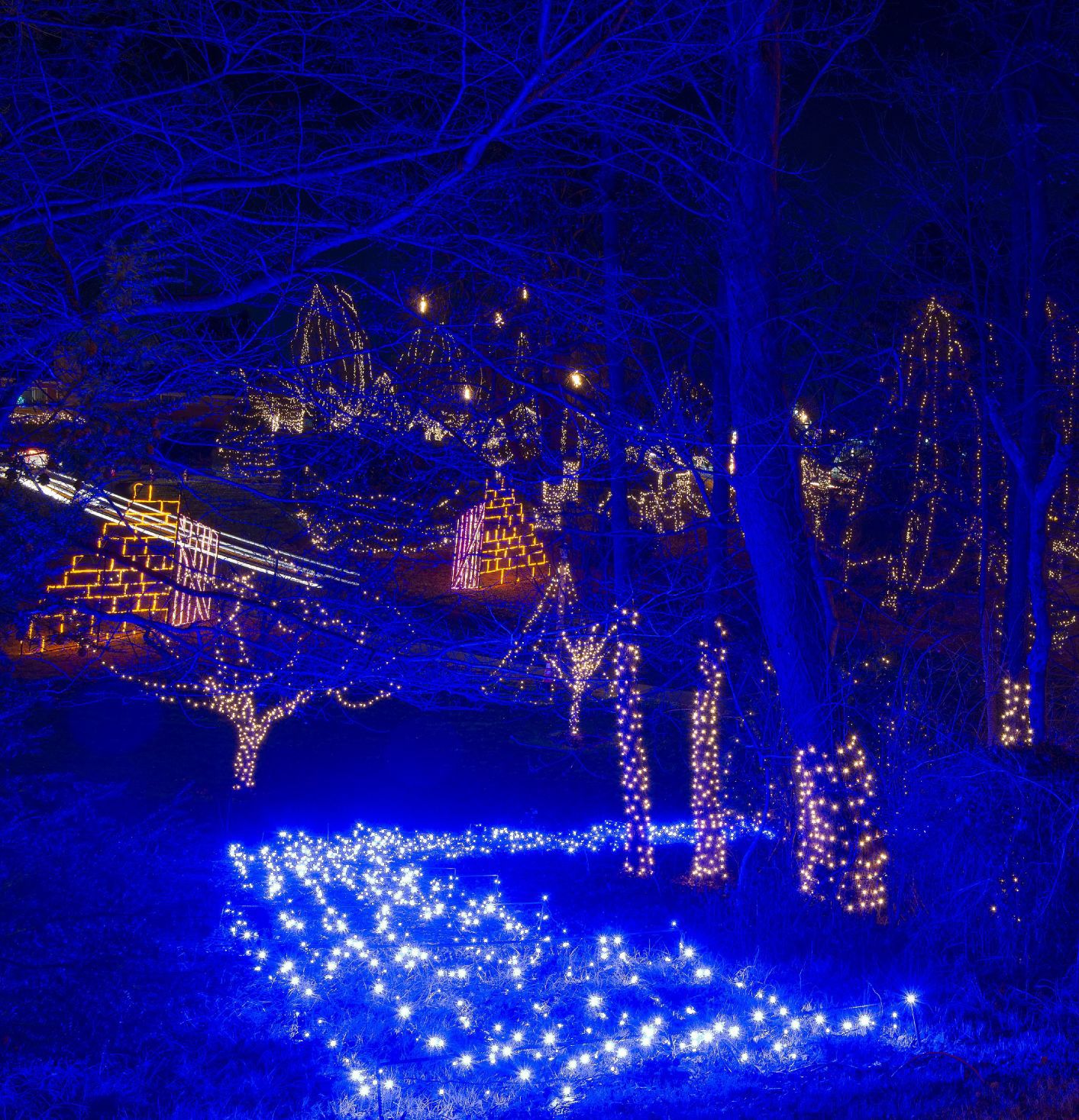 Way of Lights holiday light display at the National Shrine of Our Lady of the Snows